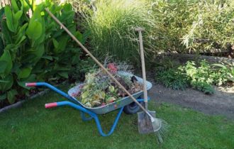 Garden Tidy-Ups