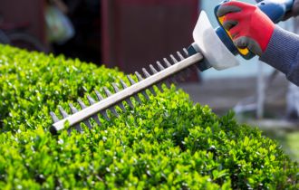 Hedge Trimming