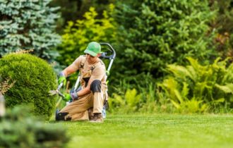 Regular Garden Maintenance