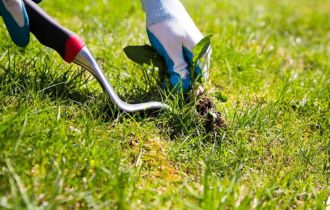 Weed Control​